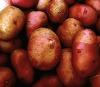 Potatoes - Red Skin (medium) 12lb bag